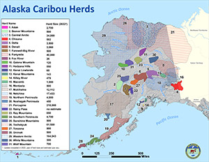 Map of 31 caribou herds
