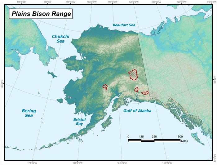 Range map of Plains Bison in Alaska